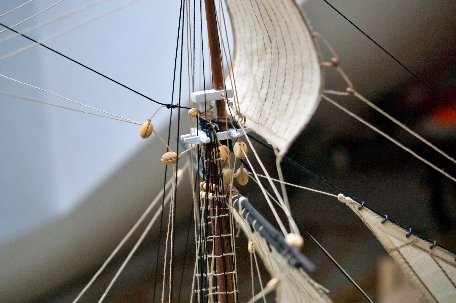 Bounty, Topsail