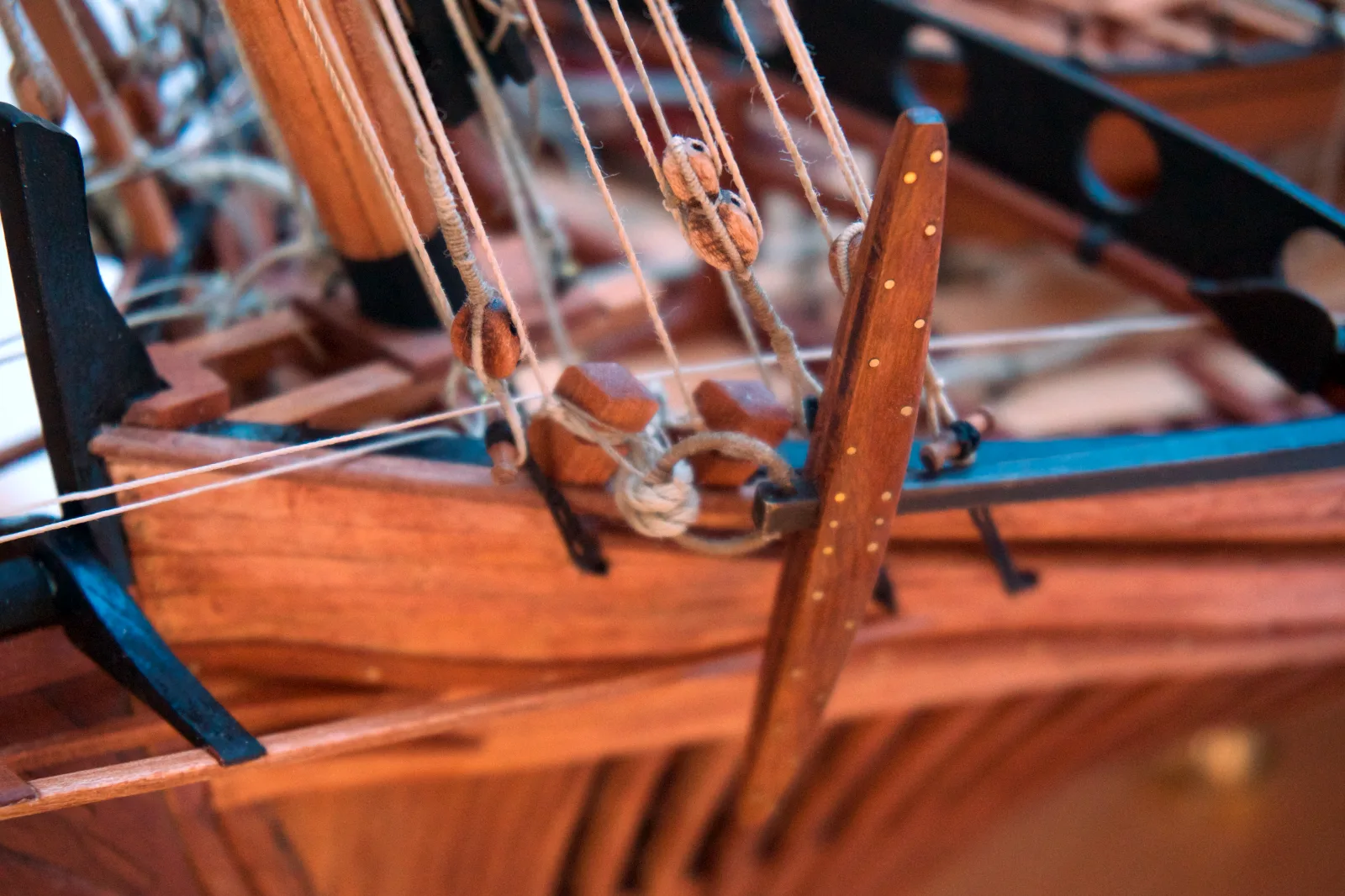 Le Requin, Anchor