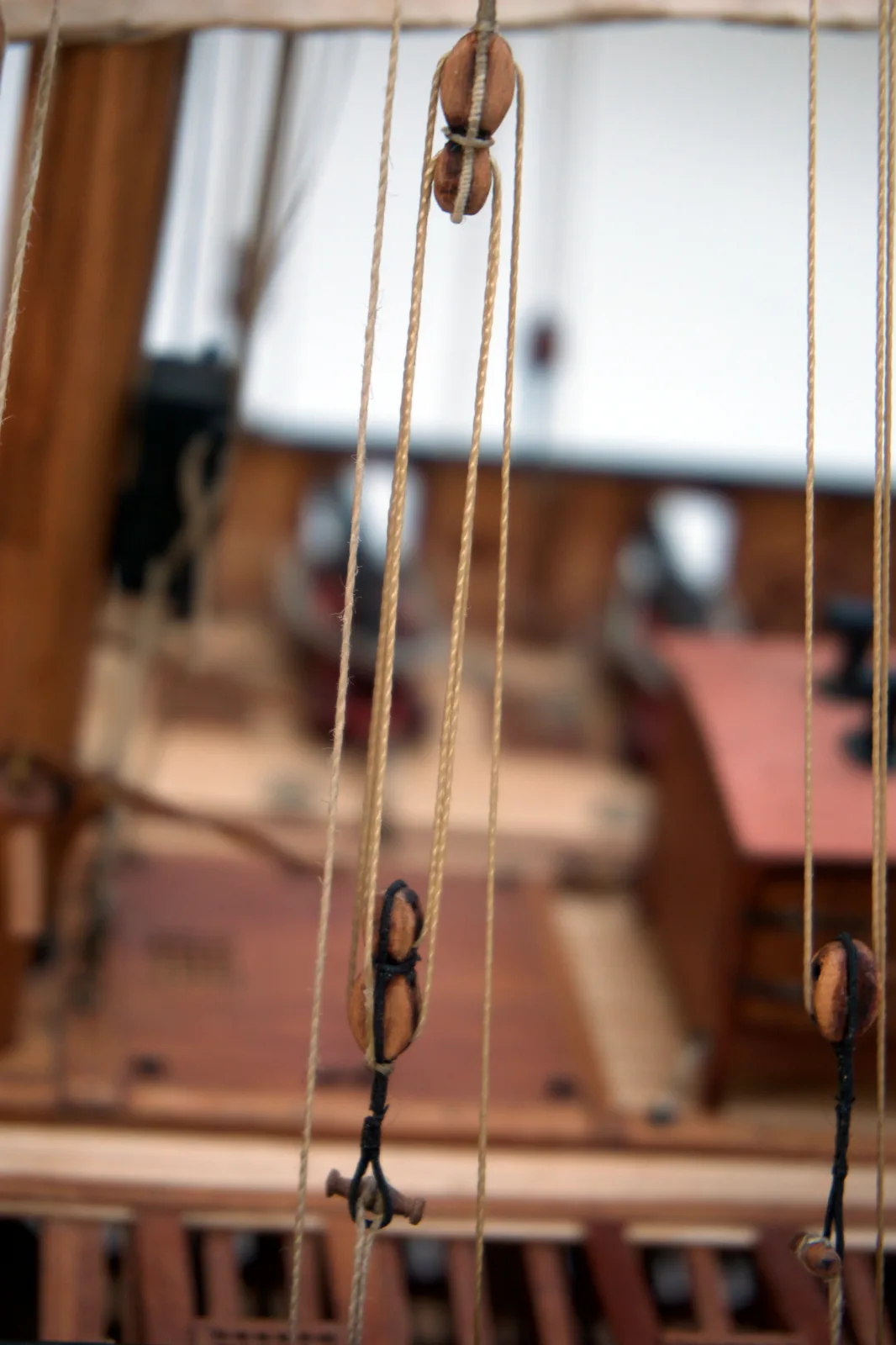 Le Requin, rigging