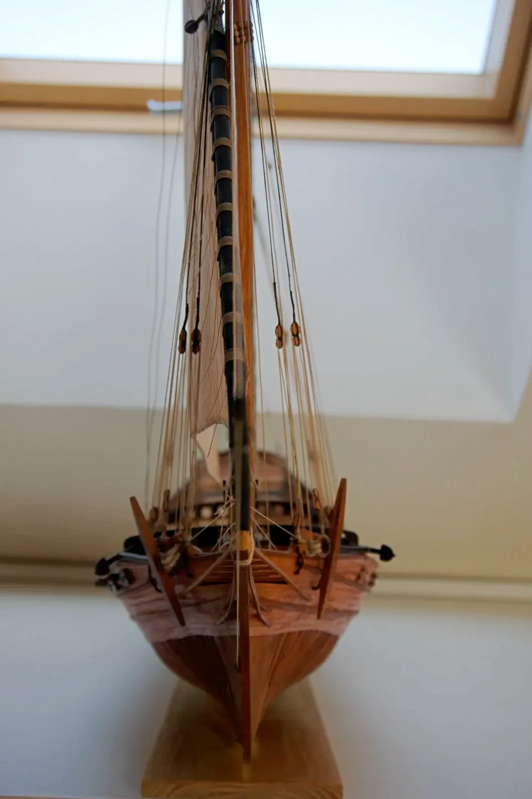 Le Requin, Front