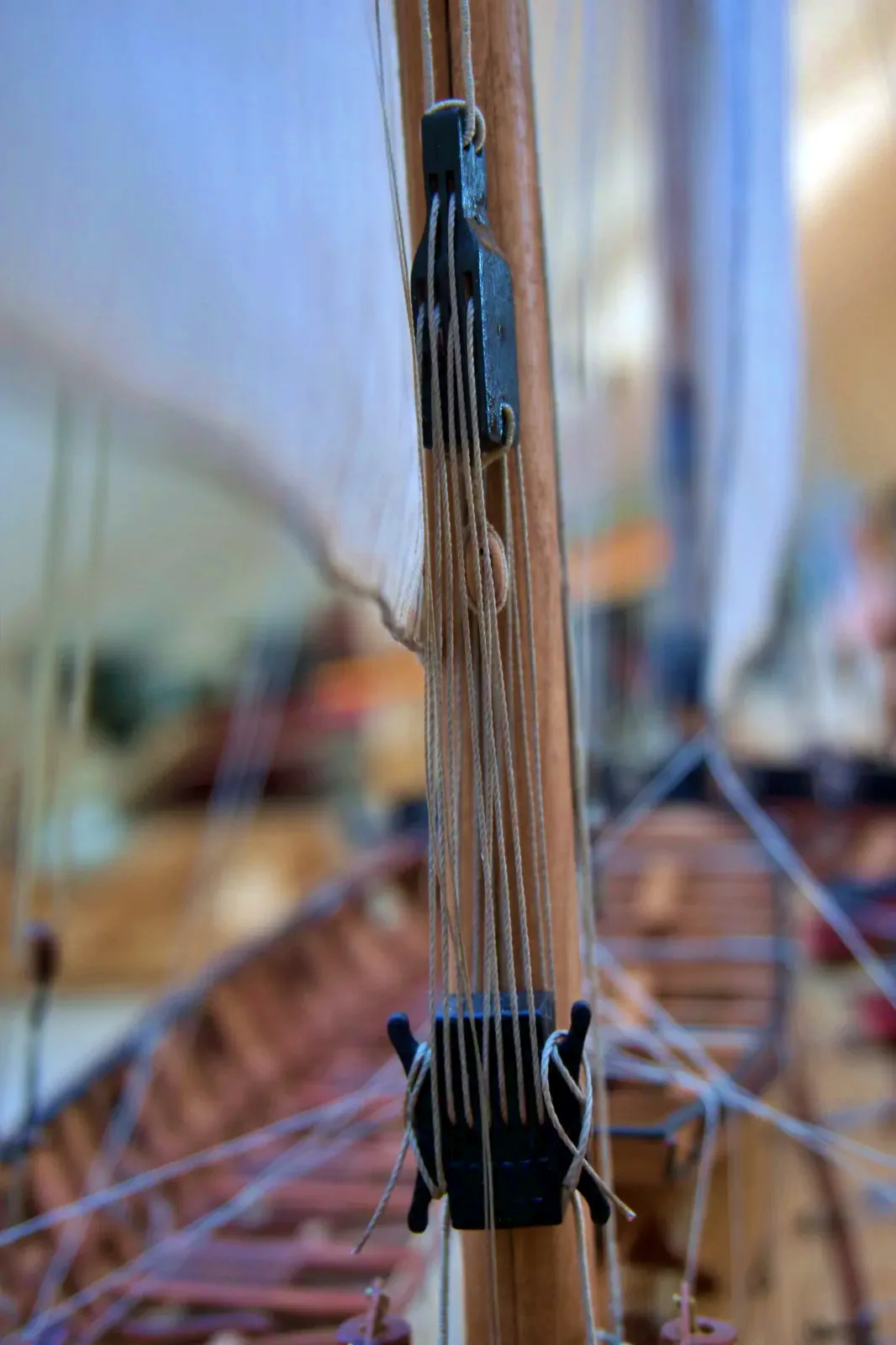 Le Requin, rigging