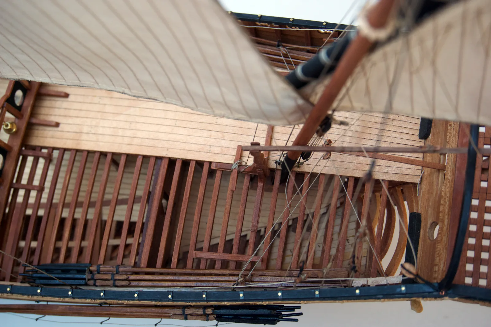Le Requin, Quarterdeck
